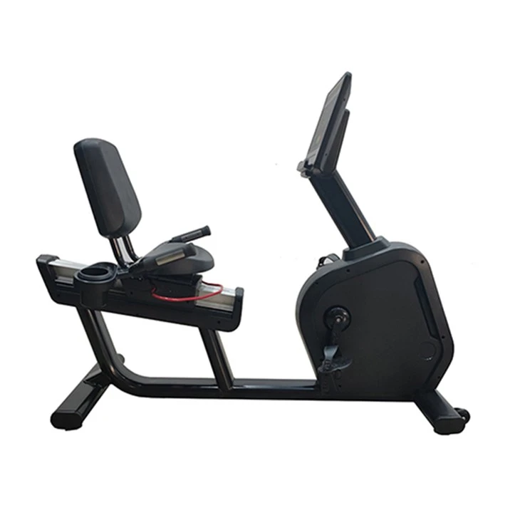 recumbent magnetic bike